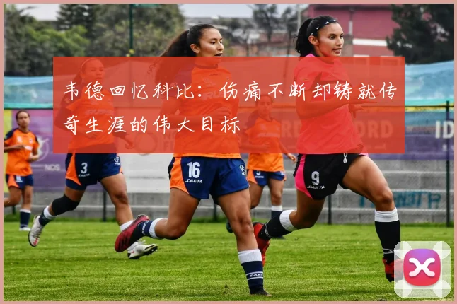 韦德回忆科比：伤痛不断却铸就传奇生涯的伟大目标
